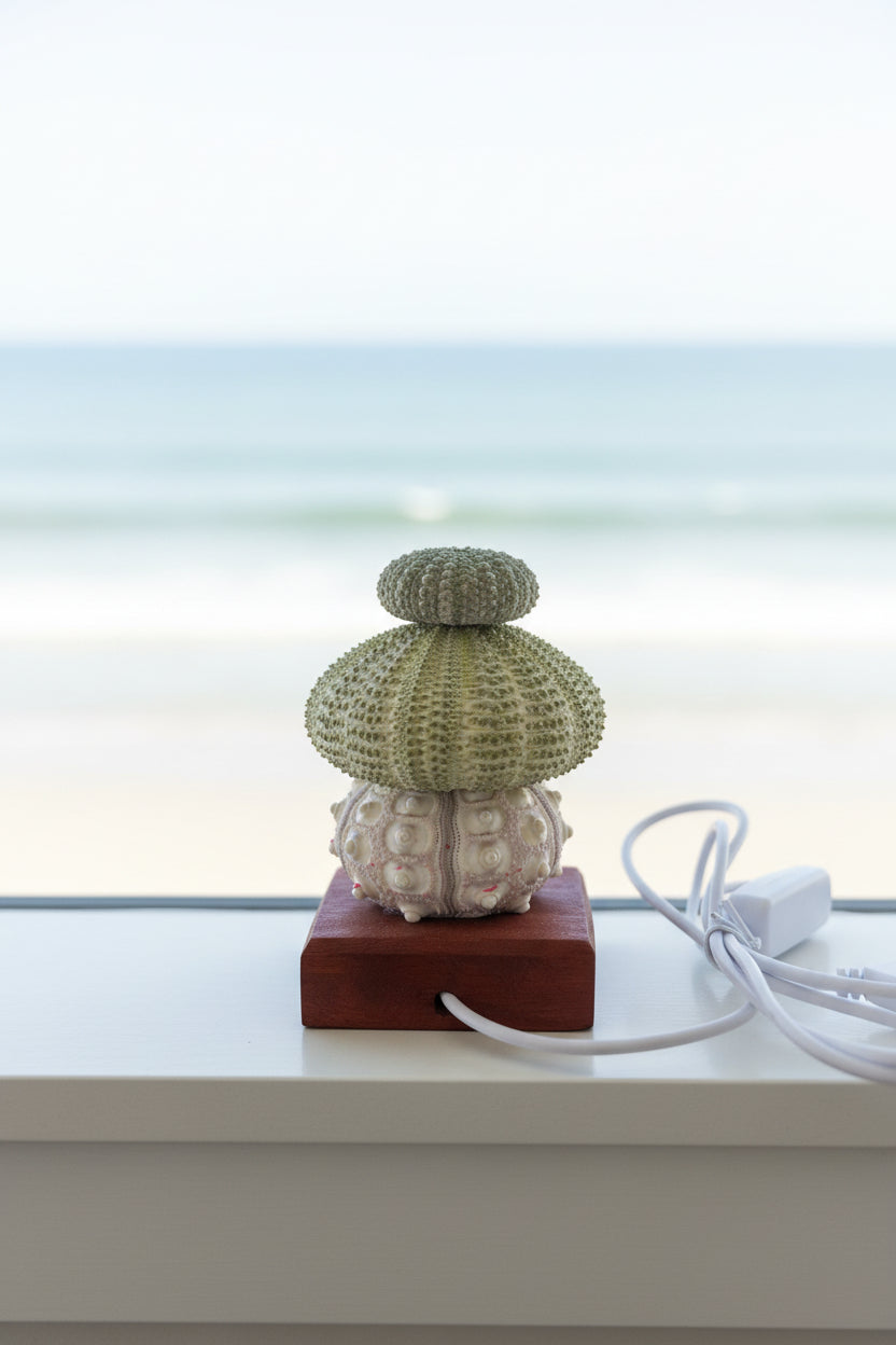 Urchin Triple Stack | Mini