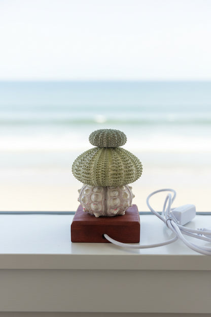 Urchin Triple Stack | Mini