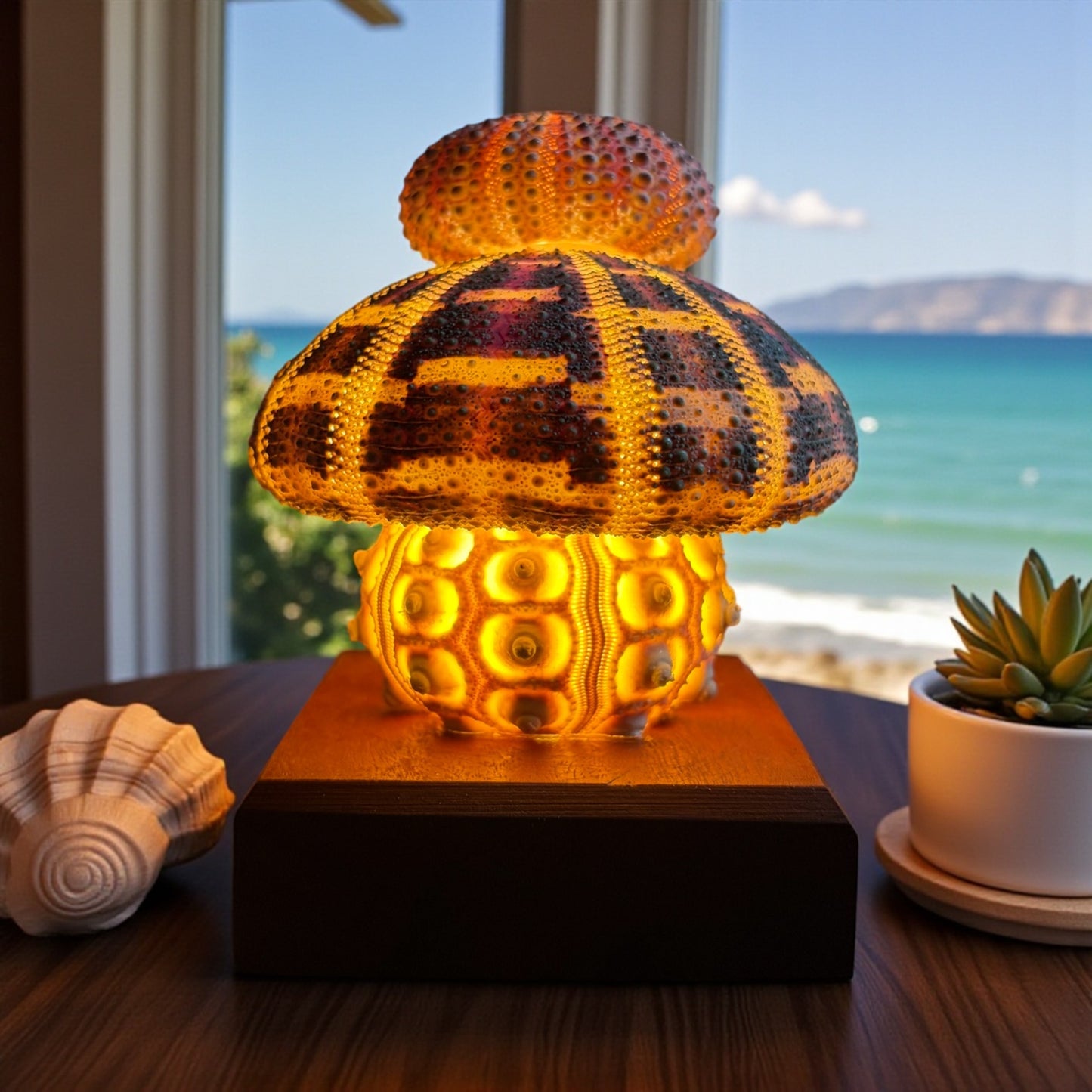 Urchin Triple Stack | Large base