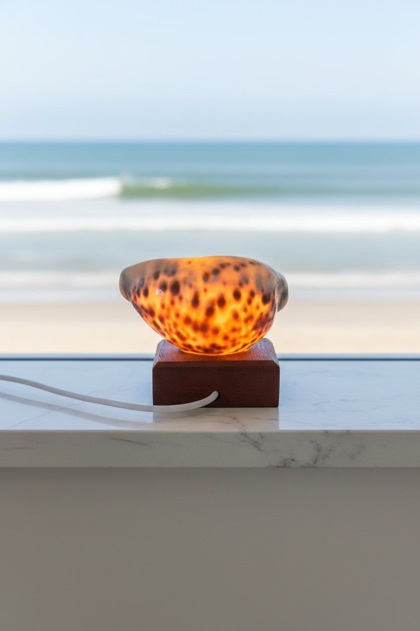 Cowrie Glow