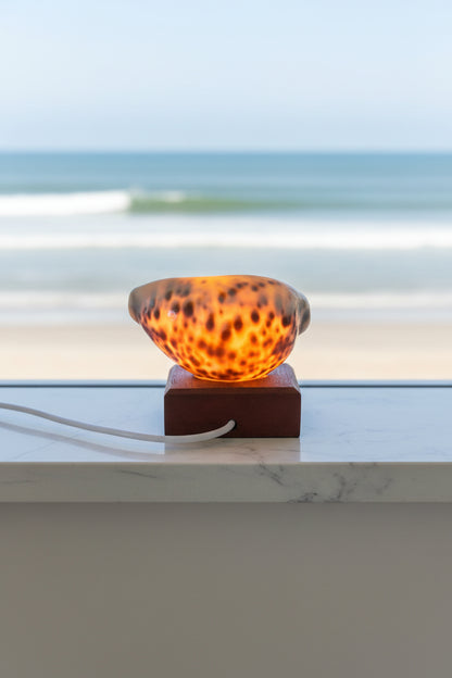 Cowrie Glow