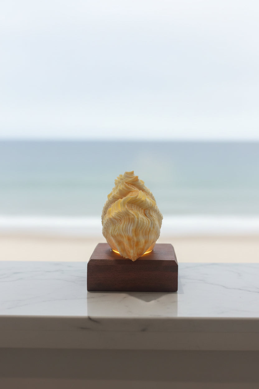 Clam Swirl