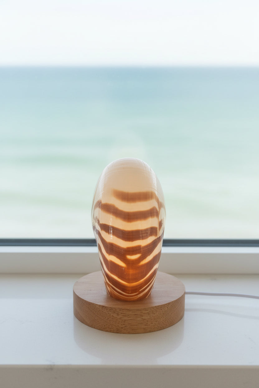 Small Nautilume | Round Lightwood Base