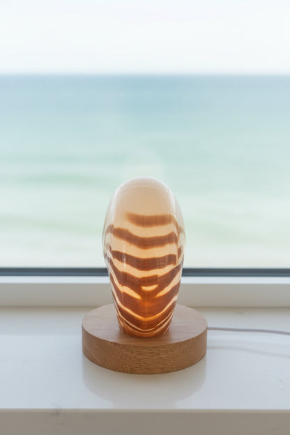 Small Nautilume | Round Lightwood Base