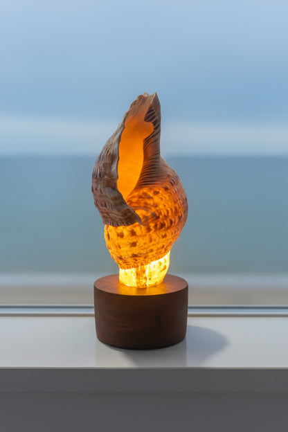 Triton Glow