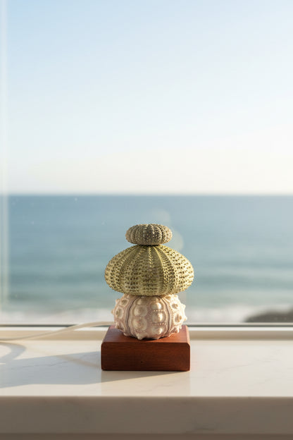 Urchin Triple Stack | Mini
