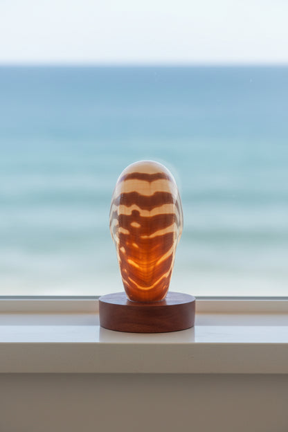 Small Nautilume | Round Hardwood Base