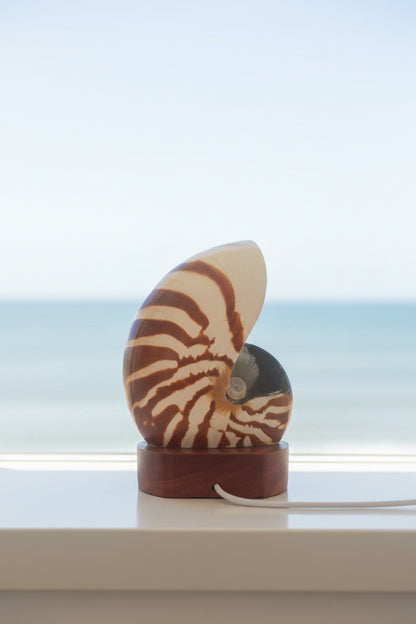 Small Nautilume | Round Hardwood Base
