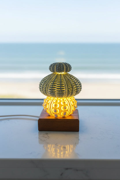 Urchin Triple Stack | Mini
