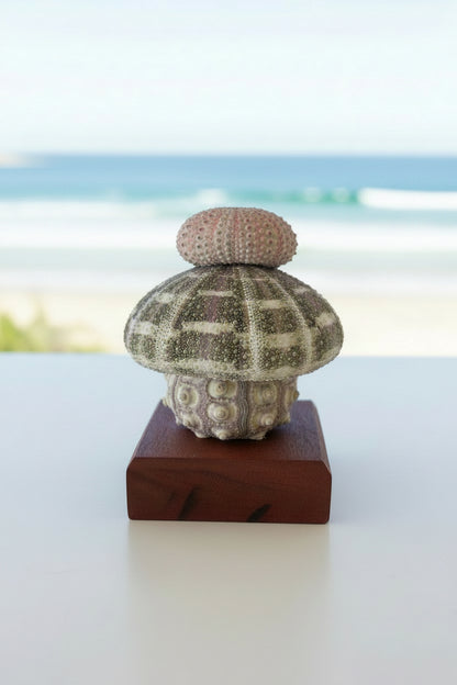 Urchin Triple Stack | Large base