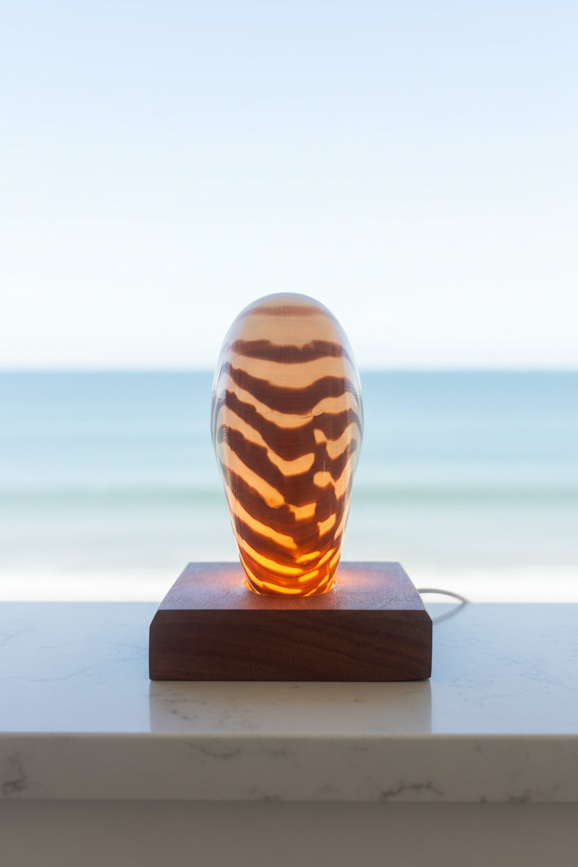 Small Nautilume | Square Hardwood Base