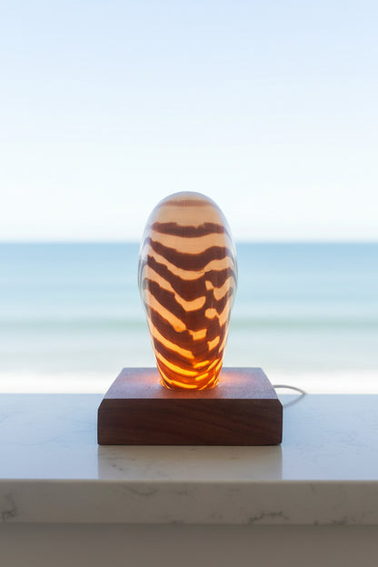Small Nautilume | Square Hardwood Base