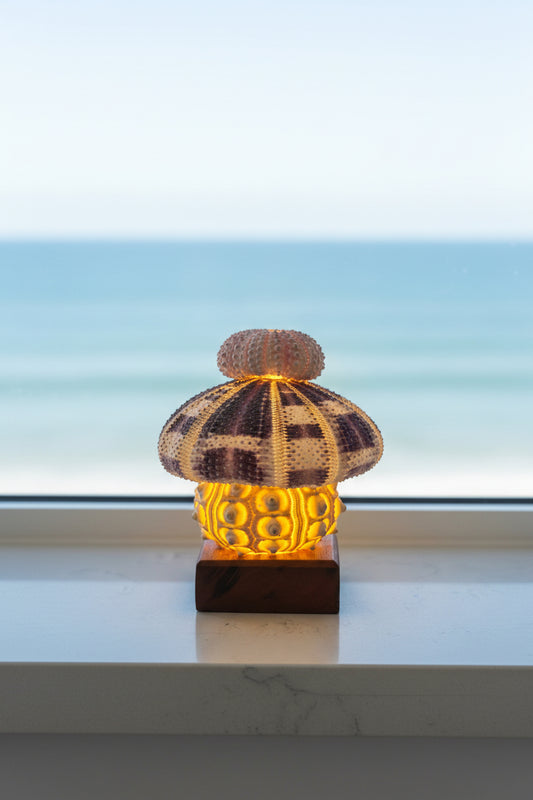 Urchin Triple Stack | Small base