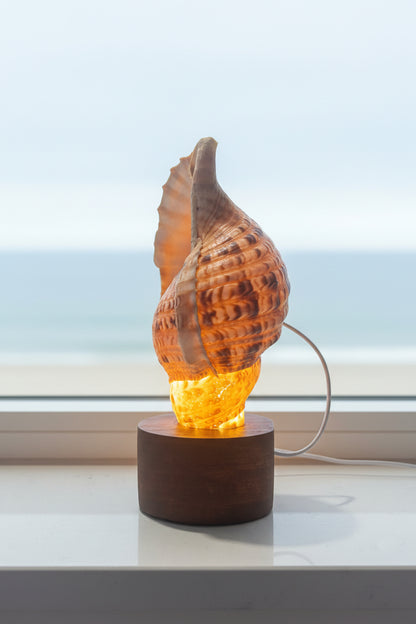Triton Glow