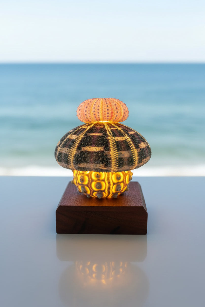 Urchin Triple Stack | Large base