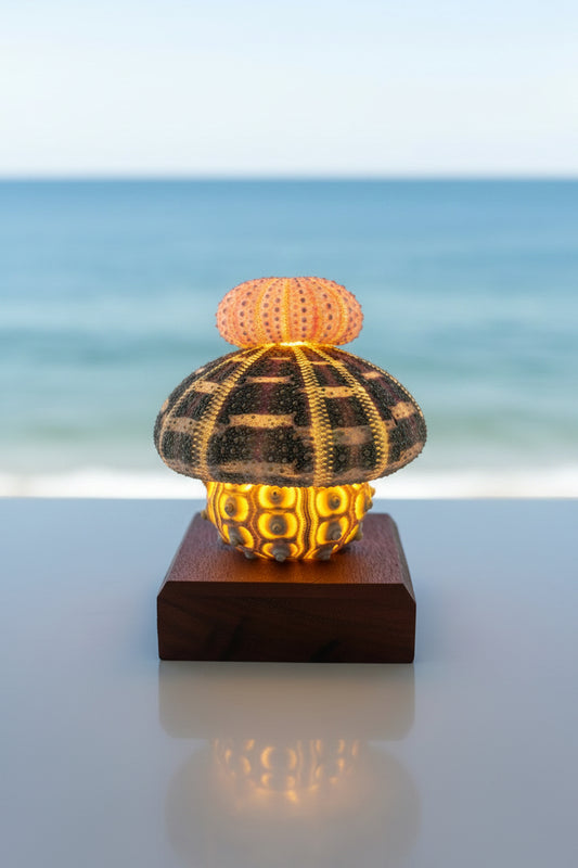 Urchin Triple Stack | Large base