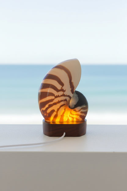 Small Nautilume | Round Hardwood Base