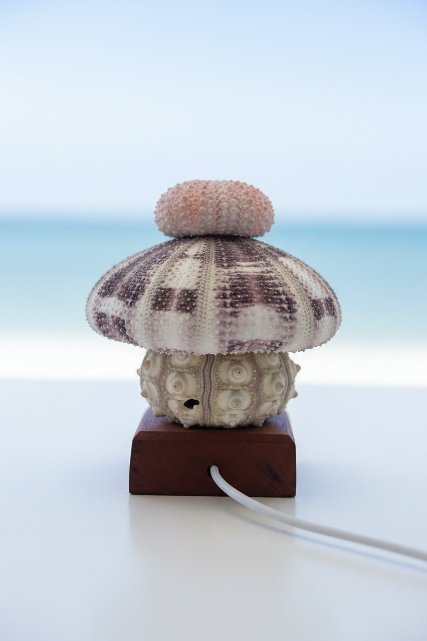 Urchin Triple Stack | Small base