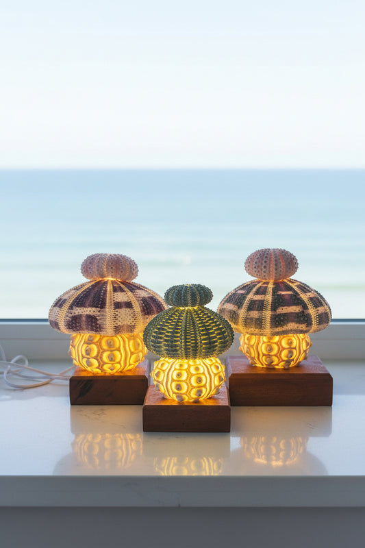 Urchin Triple Stack Bundle | Mini, Small & Large