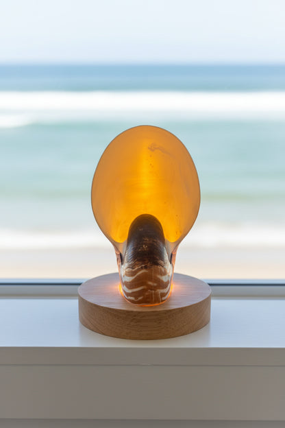 Small Nautilume | Round Lightwood Base
