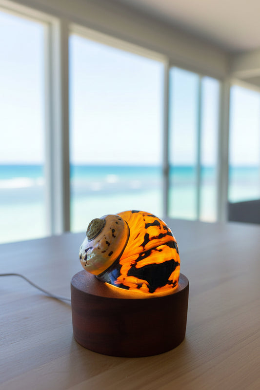 Turbo Lava Light