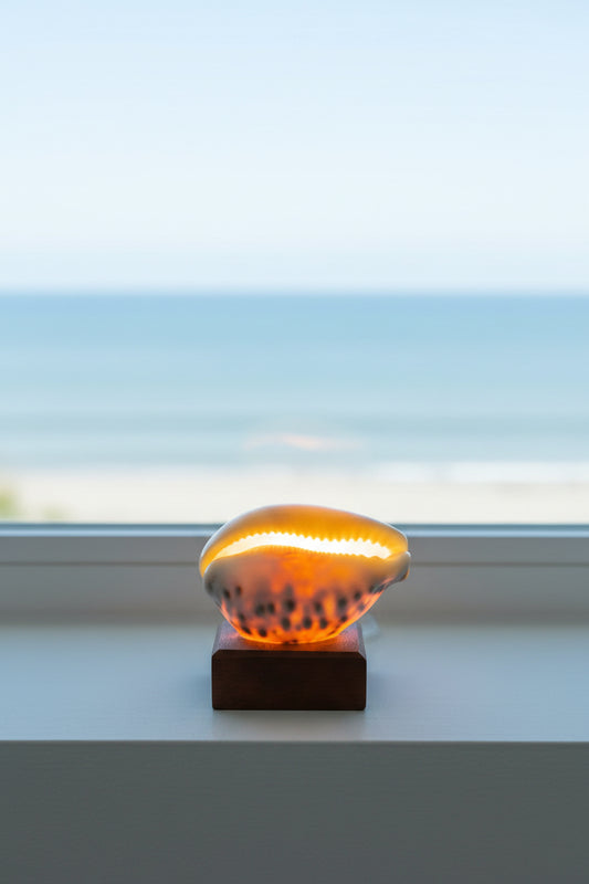 Cowrie Glow
