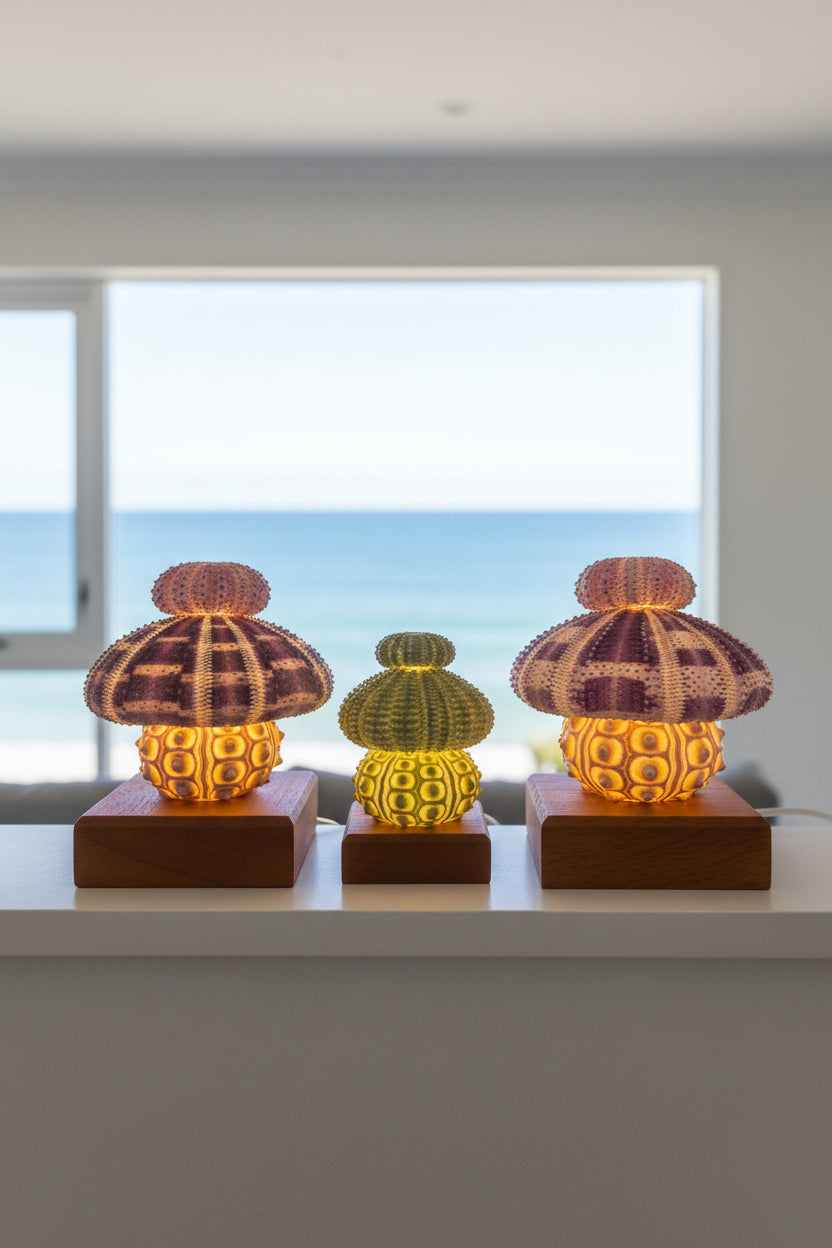 Urchin Triple Stack Bundle | Mini, Small & Large