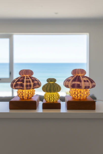 Urchin Triple Stack Bundle | Mini, Small & Large